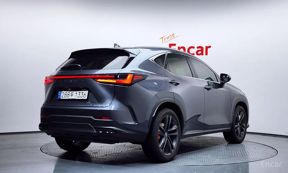 Lexus NX, 2023 — фото 2 из 12