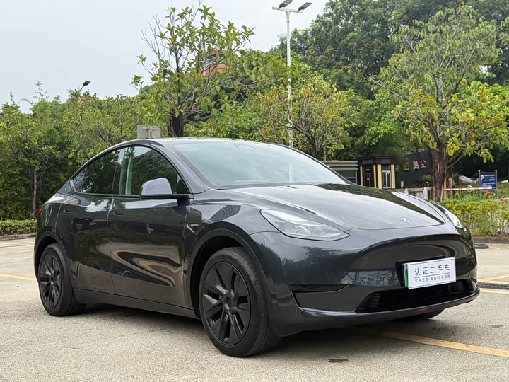 Tesla Model Y, 2024 — фото 3 из 9
