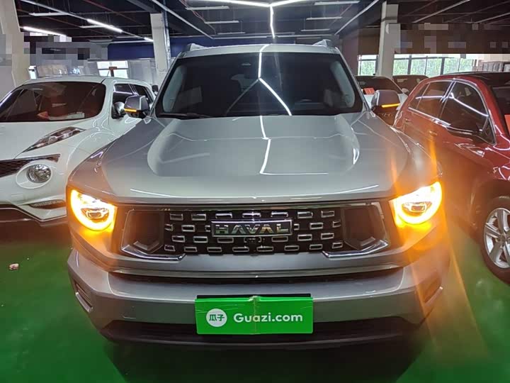 Haval H-Dog, 2023 — фото 3 из 9