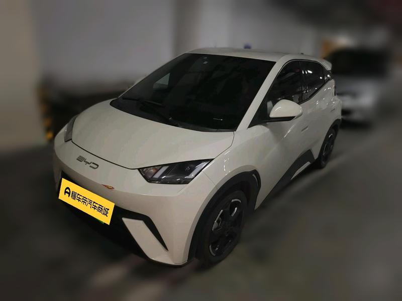 BYD Seagull, 2023 — купить в Пензе под ключ