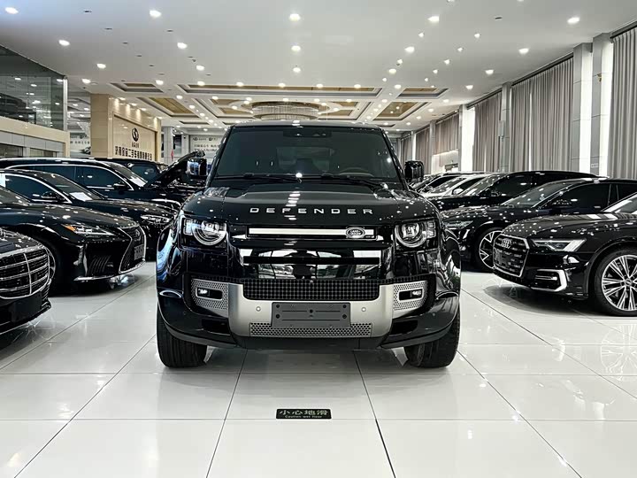 Land Rover Defender, 2024 — фото 3 из 9