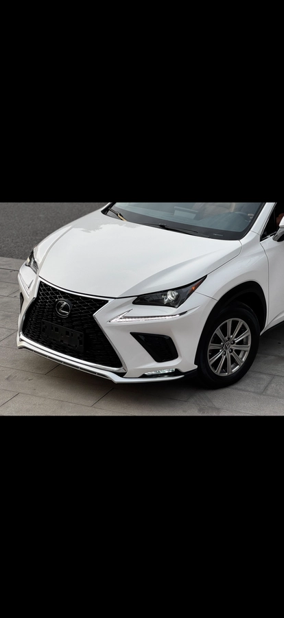 Lexus NX, 2021 — фото 4 из 12