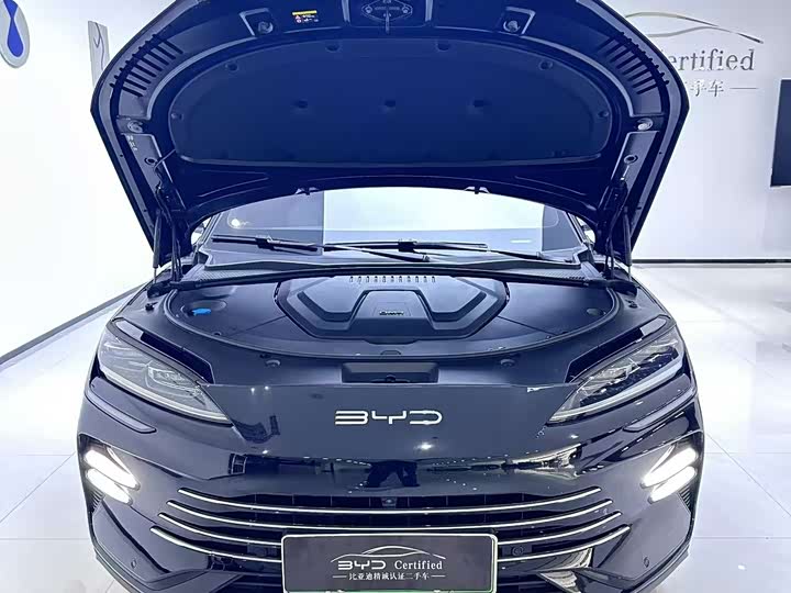 BYD Song Plus Hybrid/EV, 2024 — фото 7 из 9