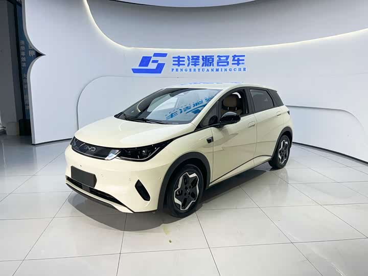 BYD Dolphin, 2025 — купить в Тамбове под ключ
