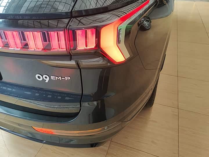 Lynk & Co 09 EM-P Hybrid, 2023 — фото 8 из 9