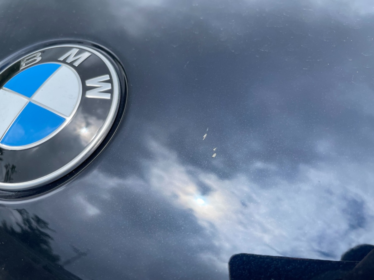 BMW X6, 2025 — фото 10 из 10