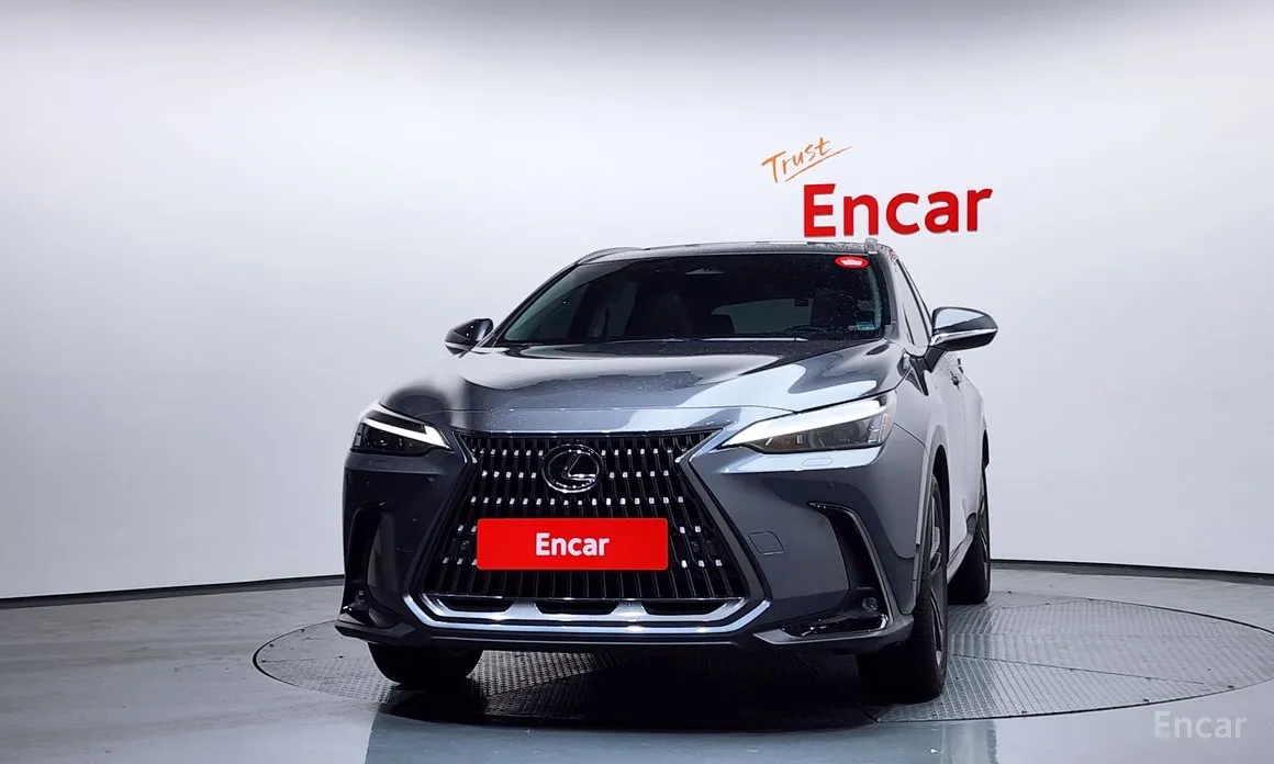 Lexus NX, 2023 — фото 3 из 12