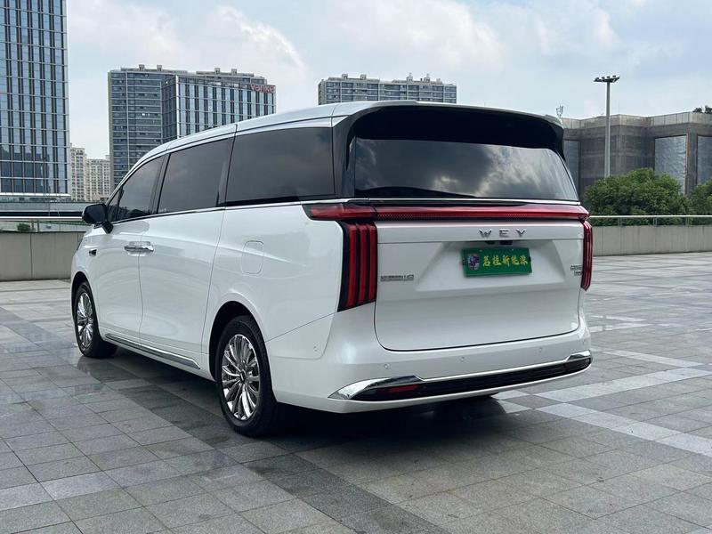 Wey 80 Hybrid, 2025 — фото 4 из 12