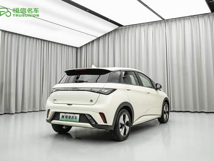 BYD Dolphin, 2023 — фото 5 из 9