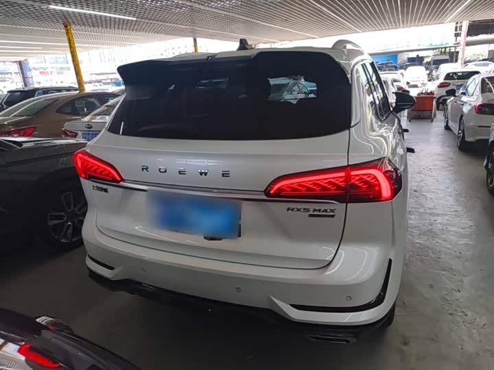Roewe RX5 Max, 2023 — фото 6 из 9
