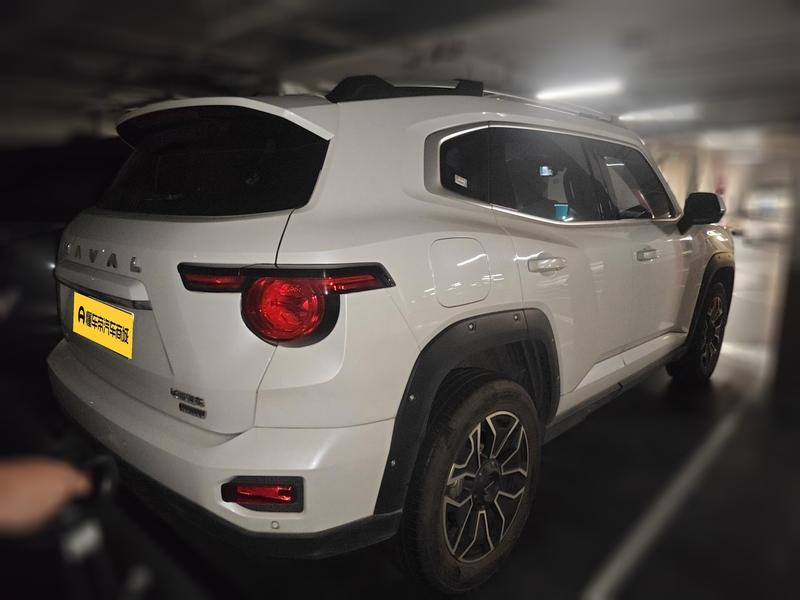 Haval H-Dog Hybrid, 2022 — фото 2 из 12