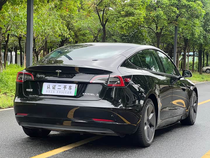 Tesla Model 3, 2021 — фото 9 из 9