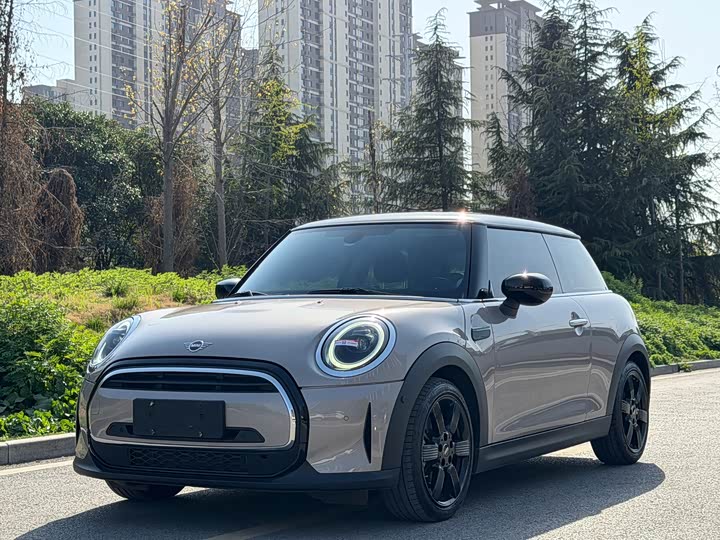 Mini Mini, 2023 — купить в Чебоксарах под ключ
