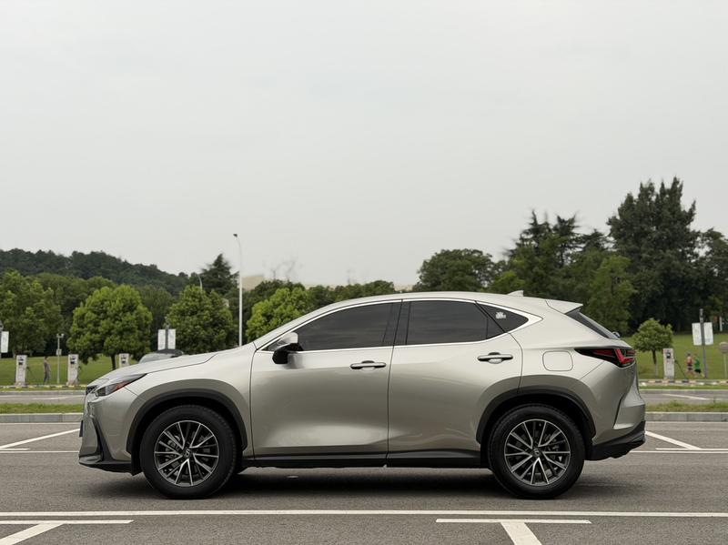 Lexus NX, 2022 — фото 4 из 12