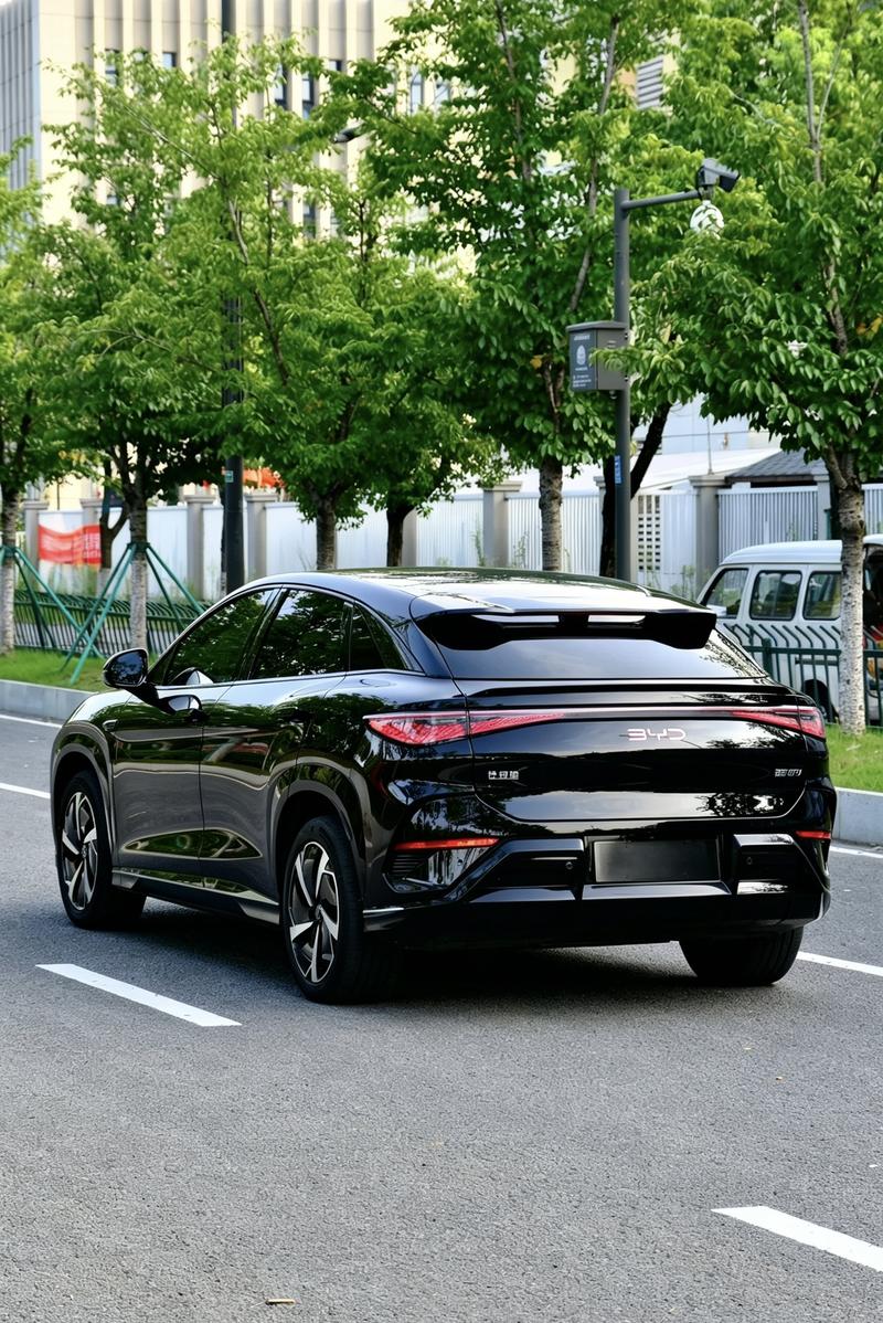 BYD Sea Lion 07 EV, 2024 — фото 4 из 8