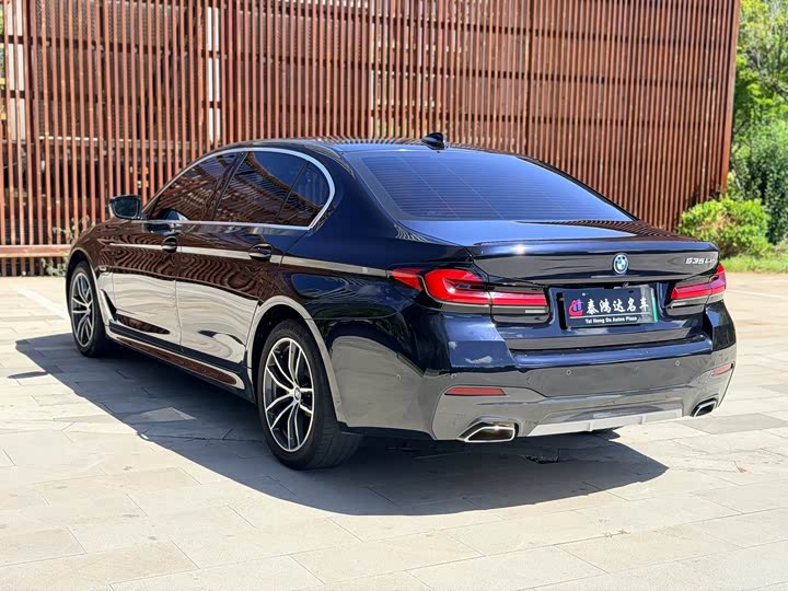 BMW 5 Series Hybrid, 2023 — фото 4 из 9