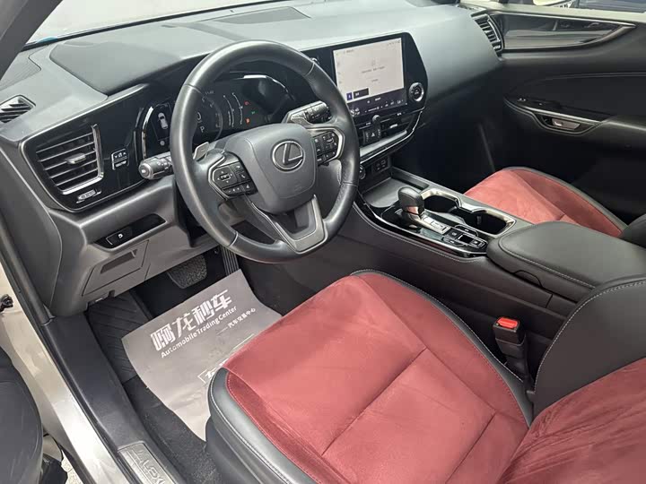 Lexus NX, 2024 — фото 8 из 9
