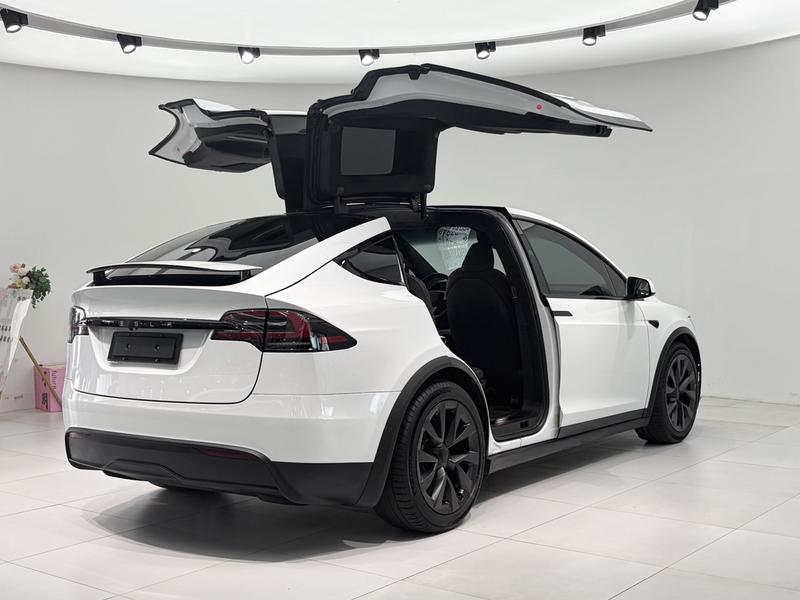 Tesla Model X, 2023 — фото 6 из 11