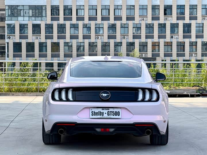 Ford Mustang, 2022 — фото 8 из 9