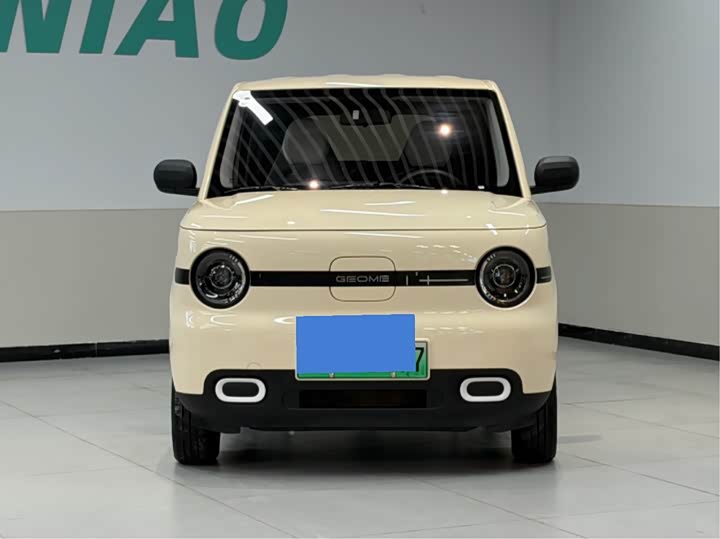Geely Galaxy Panda Mini, 2025 — фото 2 из 9