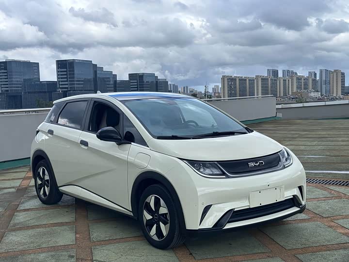 BYD Dolphin, 2024 — купить в Иванове под ключ