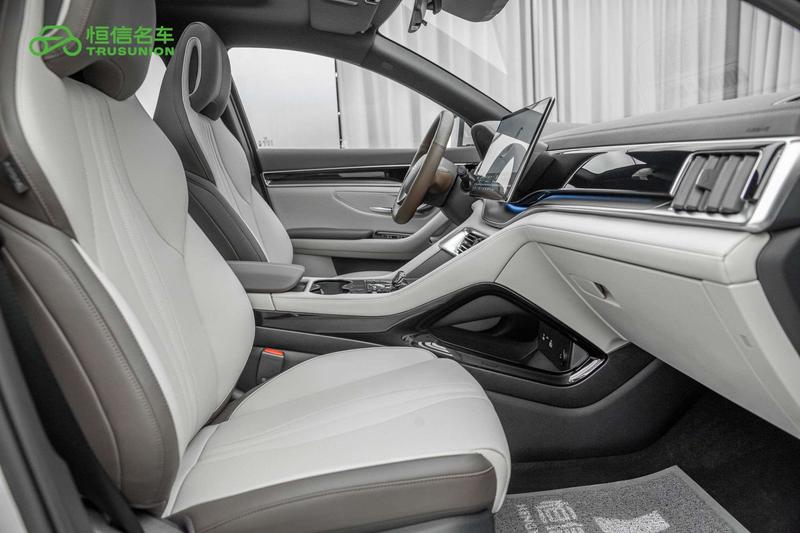 BYD Song Plus Hybrid/EV, 2025 — фото 12 из 12