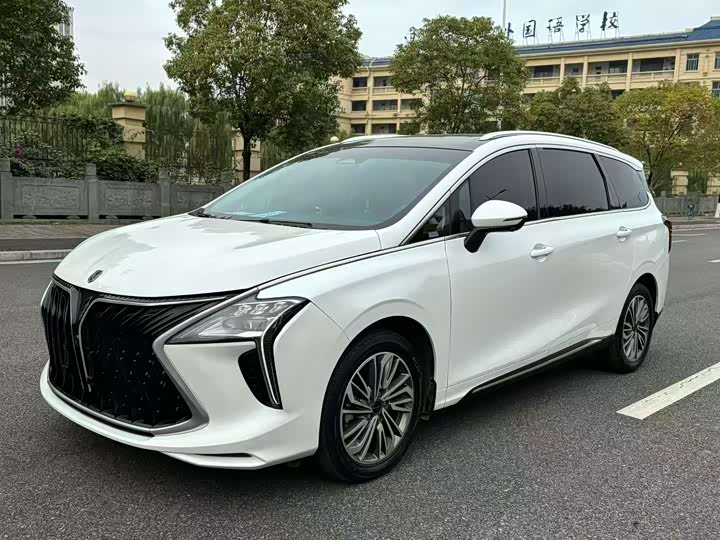 Dongfeng Forthing Yacht, 2022 — фото 3 из 9