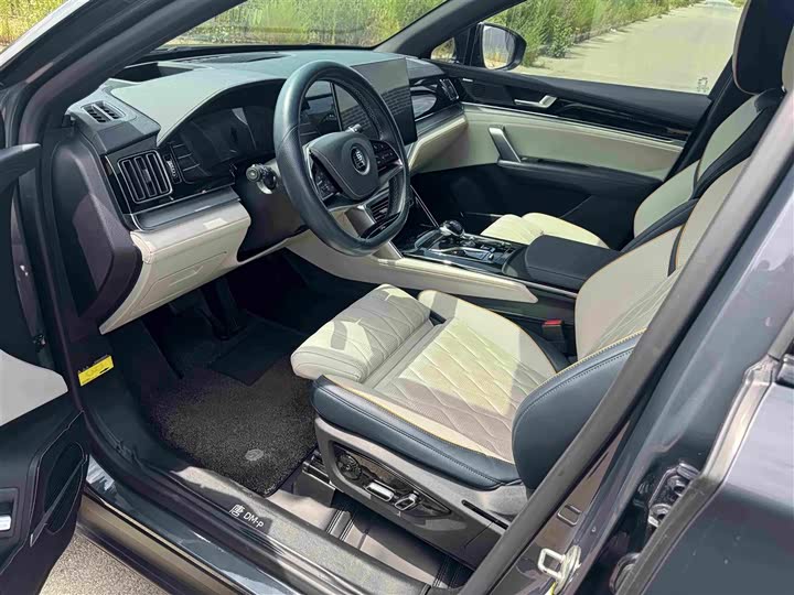 BYD Tang Hybrid/EV, 2023 — фото 5 из 9