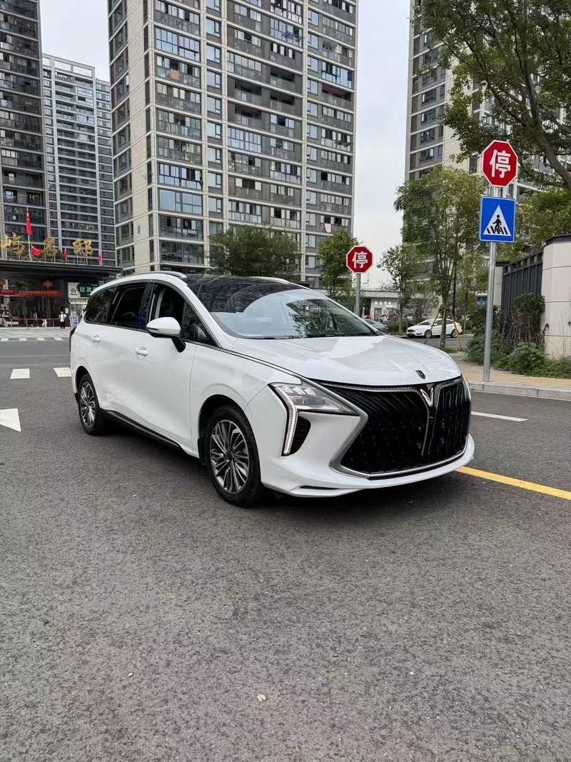 Dongfeng Forthing Yacht, 2023 — фото 3 из 12