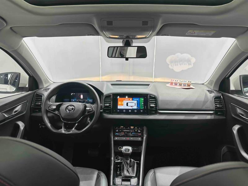 Skoda Karoq, 2022 — фото 9 из 12