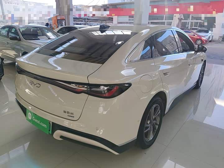 BYD Seal 06 Hybrid/EV, 2025 — фото 7 из 9
