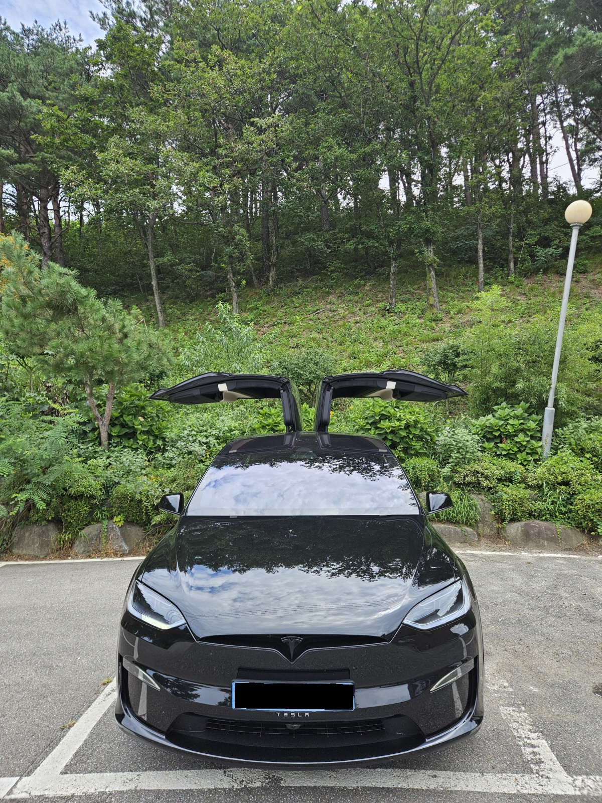 Tesla Model X, 2026 — фото 3 из 8