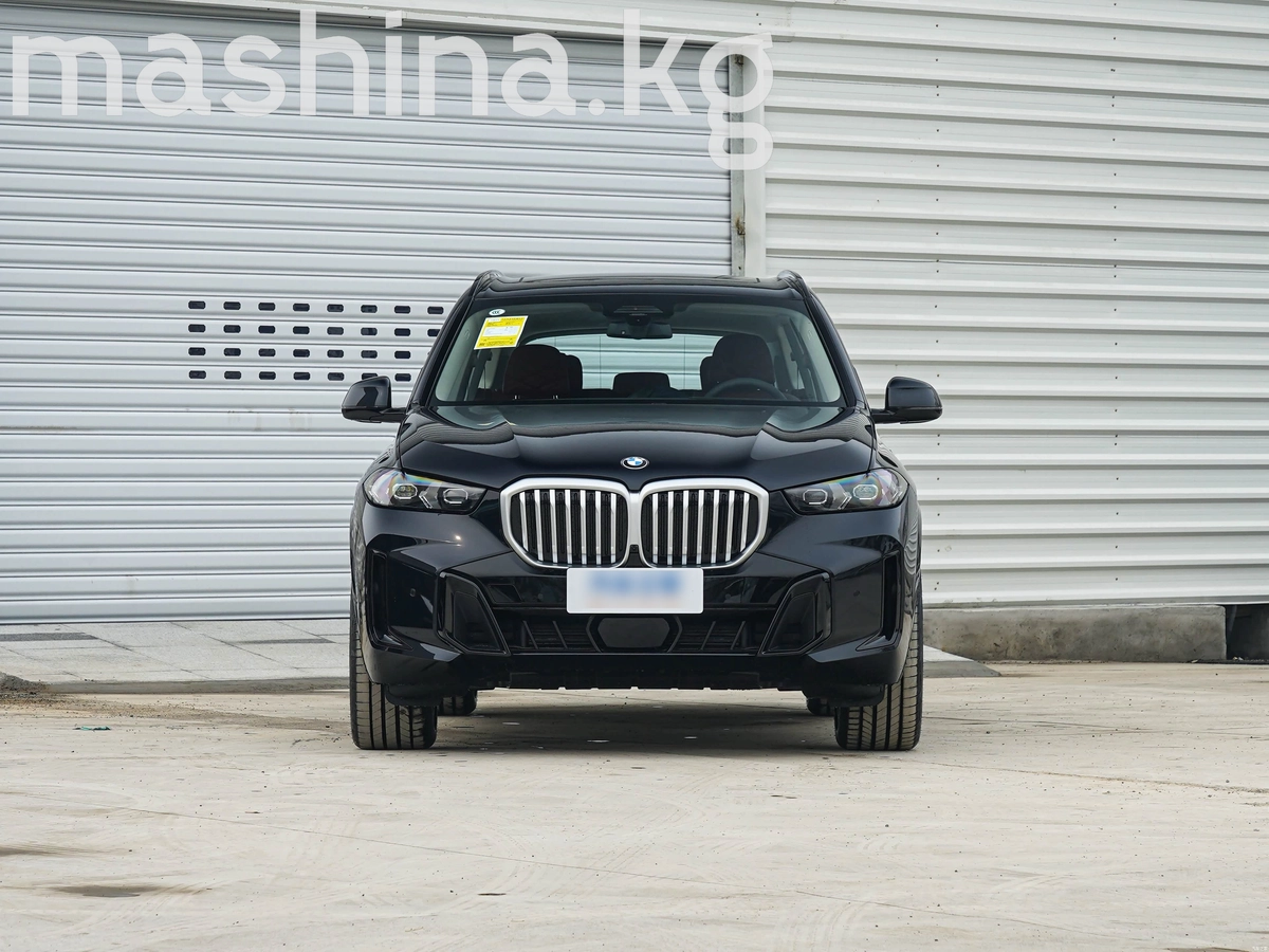 BMW X5, 2026 — фото 2 из 10