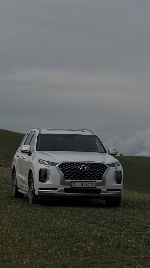 Hyundai Palisade, 2021