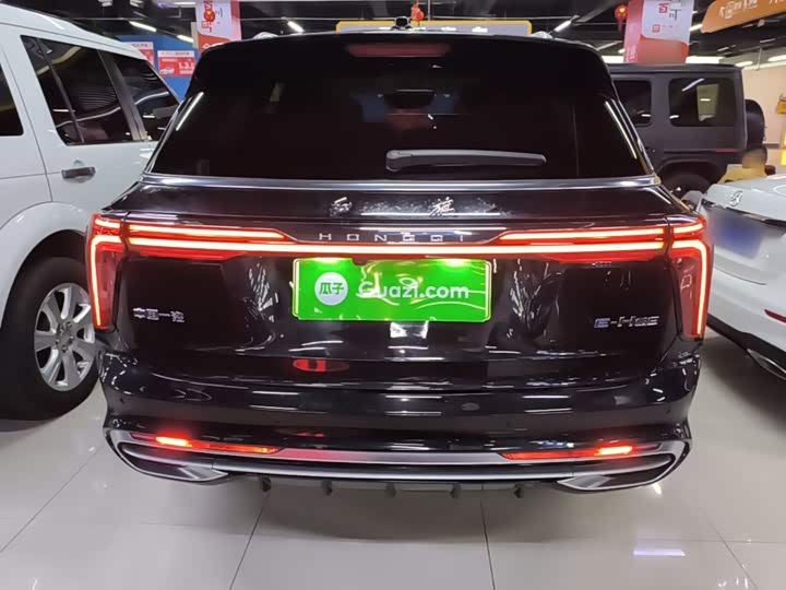 Hongqi E-HS9, 2023 — фото 6 из 9