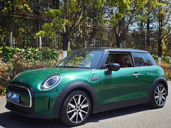 Mini Mini, 2022 — купить в Ульяновске под ключ