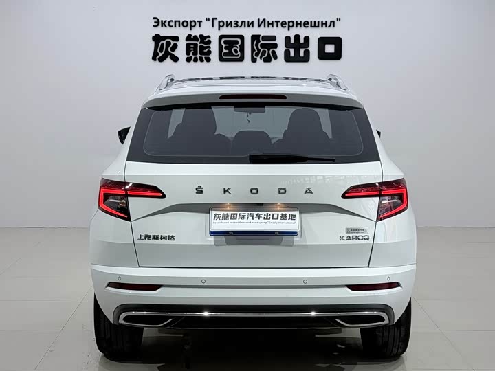 Skoda Karoq, 2023 — фото 5 из 9