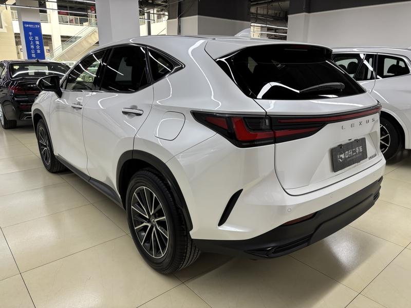 Lexus NX, 2023 — фото 3 из 12
