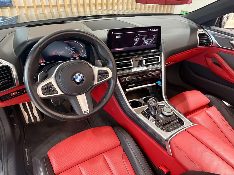 BMW 8 Series, 2023 — фото 6 из 10