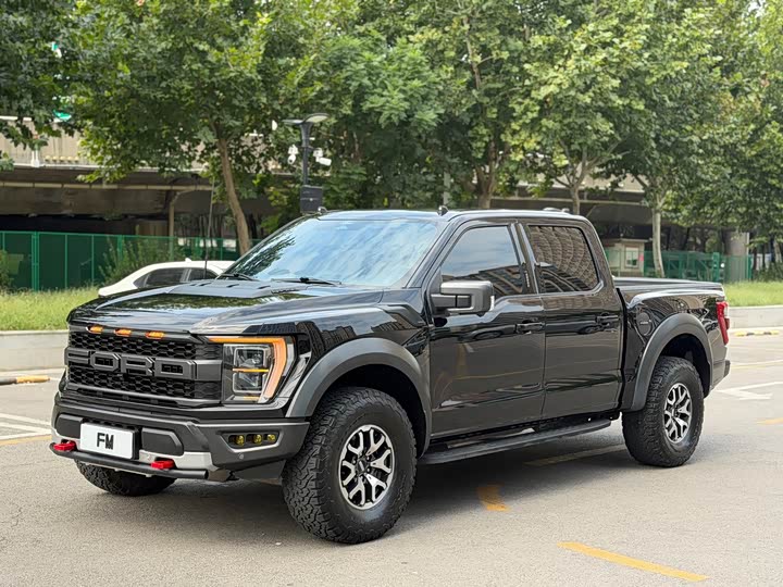 Ford F-150 Raptor, 2024 — фото 5 из 9