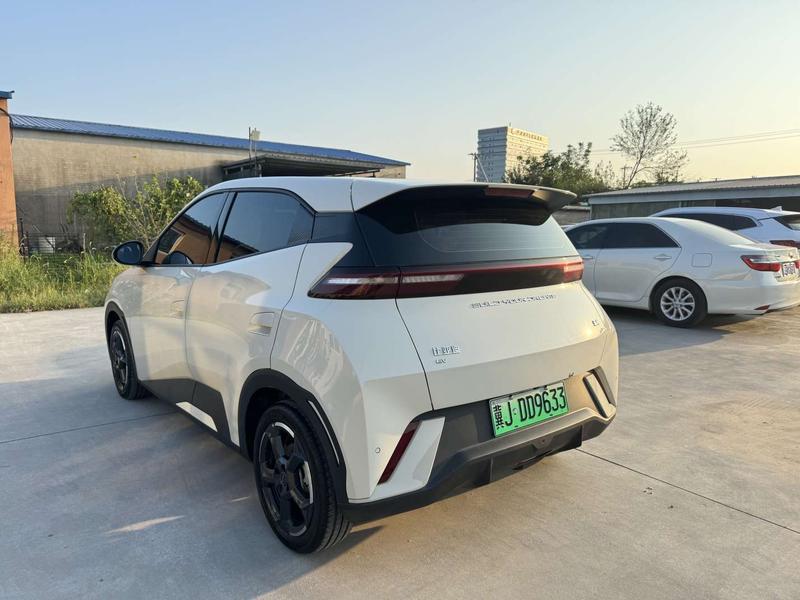 BYD Seagull, 2024 — фото 5 из 11