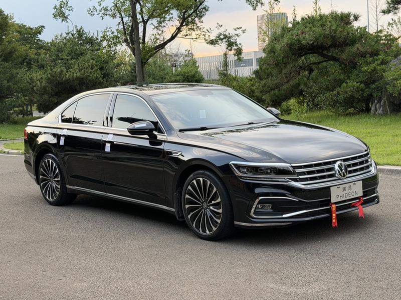 Volkswagen Phideon, 2023 — фото 3 из 10