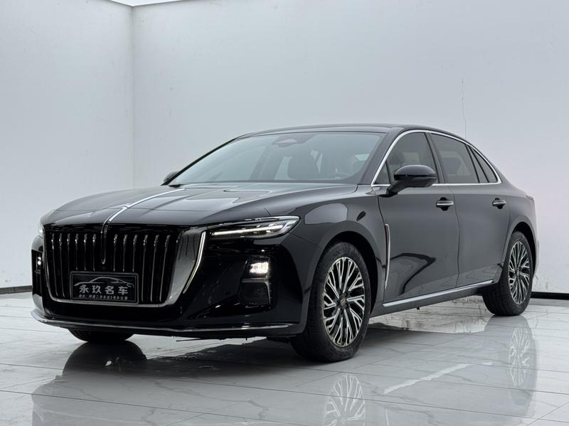 Hongqi H5, 2024 — купить в Тамбове под ключ