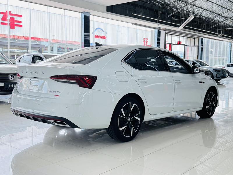 Skoda Octavia Pro, 2023 — фото 6 из 12