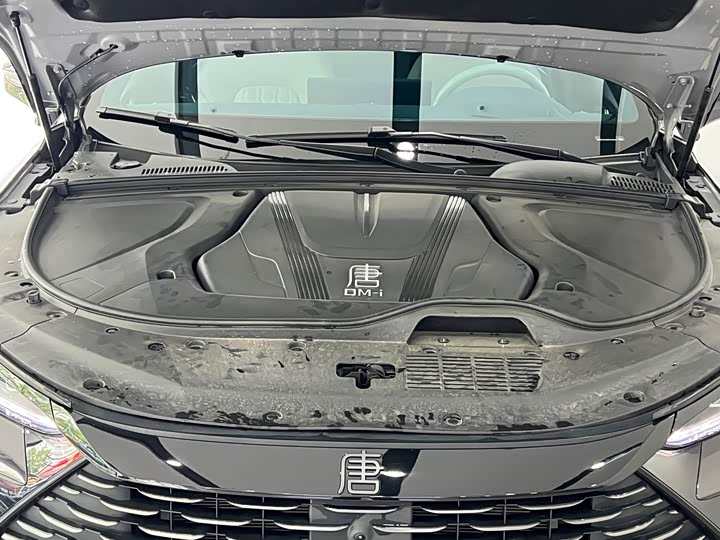 BYD Tang Hybrid/EV, 2025 — фото 4 из 9
