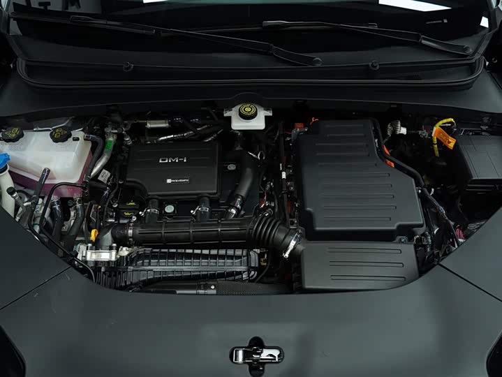 BYD Sea Lion 06 Hybrid/EV, 2025 — фото 6 из 9