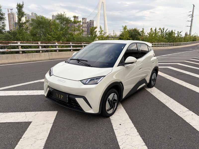 BYD Seagull, 2024 — купить в Санкт-Петербурге под ключ