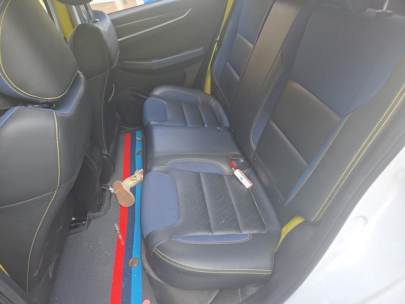 Geely Geometry EX3, 2022 — фото 12 из 12