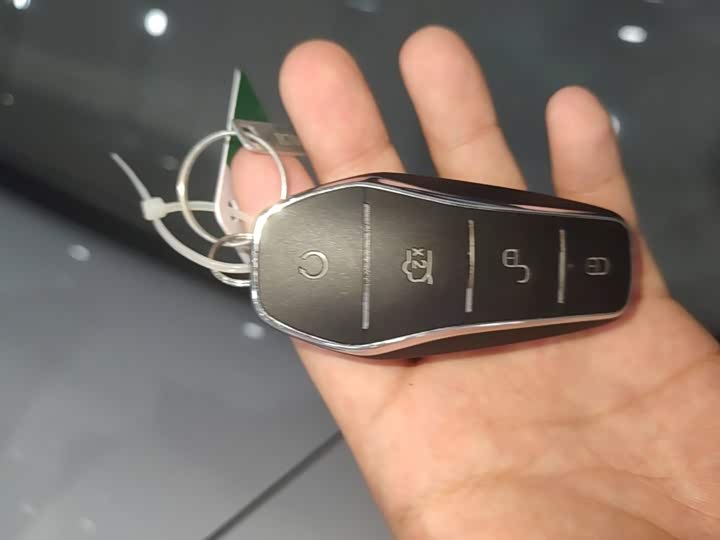 BYD Sea Lion 06 Hybrid/EV, 2025 — фото 9 из 9