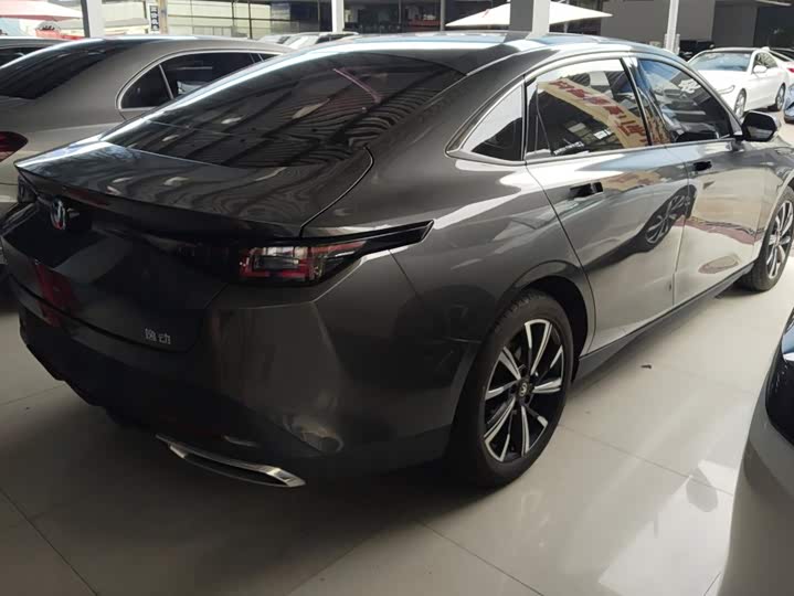 Changan Eado Plus, 2024 — фото 3 из 9